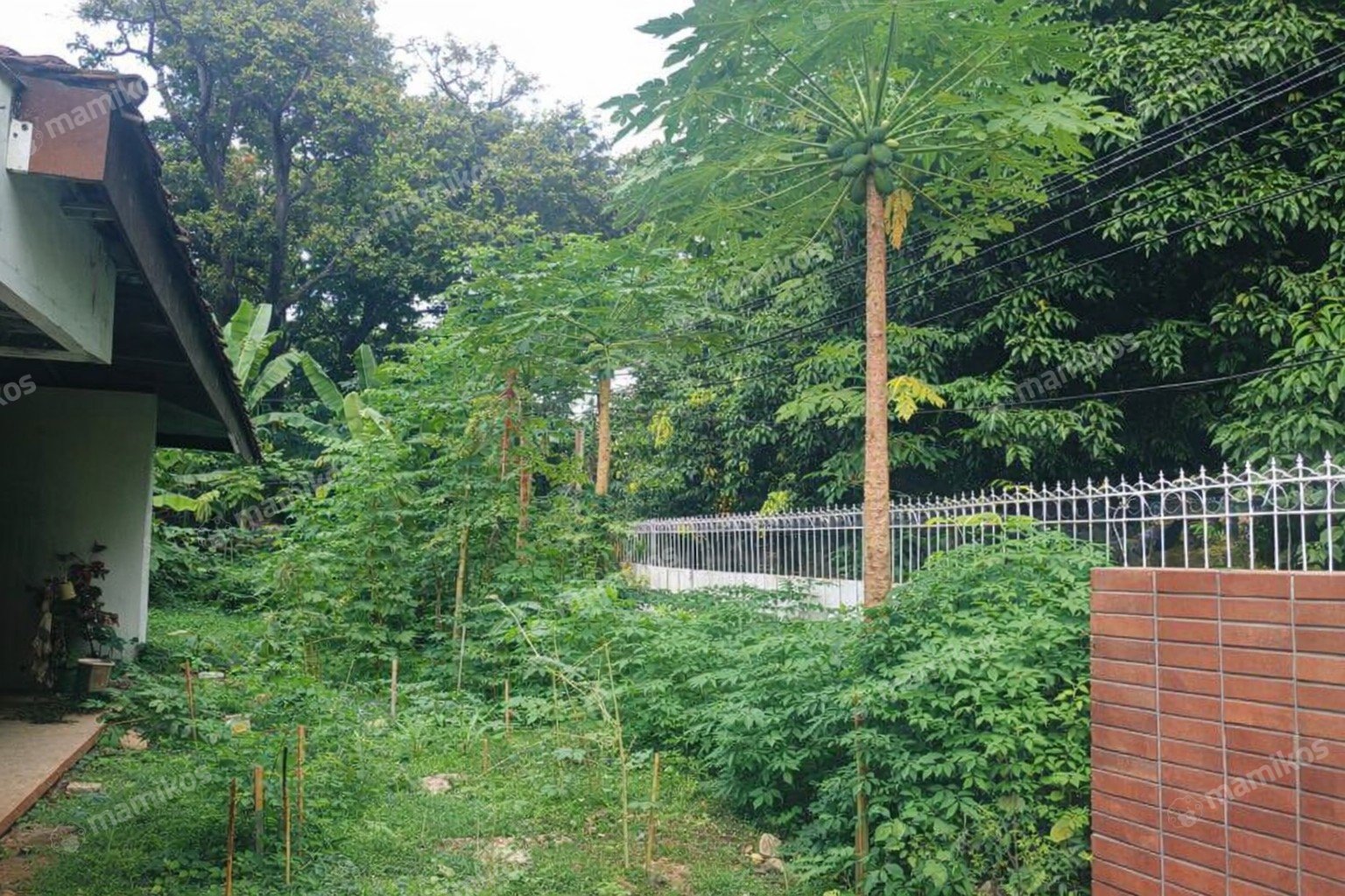 Rumah Sertifikat SHM 5 Kamar Tidur 3 Kamar Mandi Kemanggisan Jakarta Barat