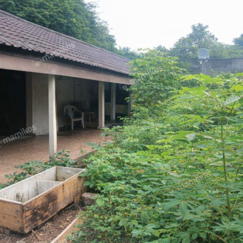 Rumah Sertifikat SHM 5 Kamar Tidur 3 Kamar Mandi Kemanggisan Jakarta Barat - Photo 2