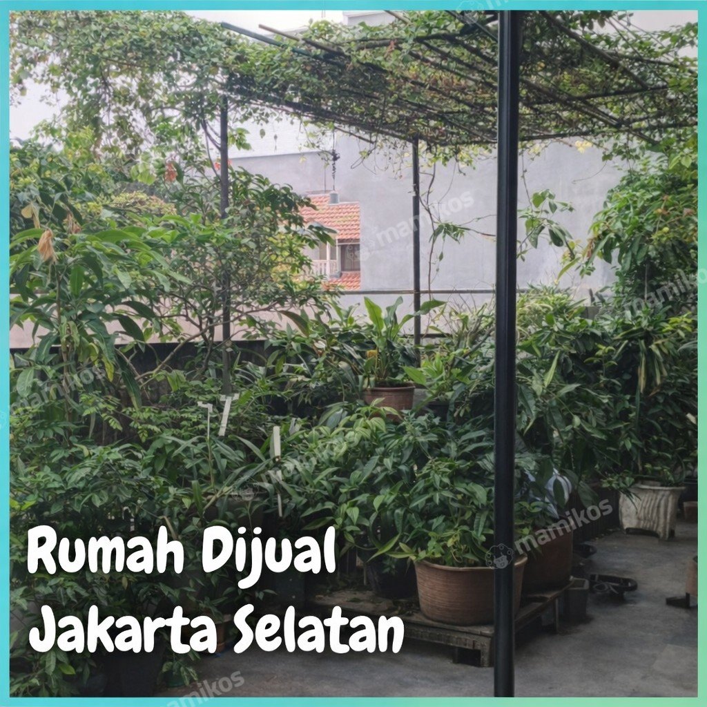 Rumah Sertifikat SHM 7 Kamar Tidur 6 Kamar Mandi Mampang Prapatan Jakarta Selatan - Photo 3