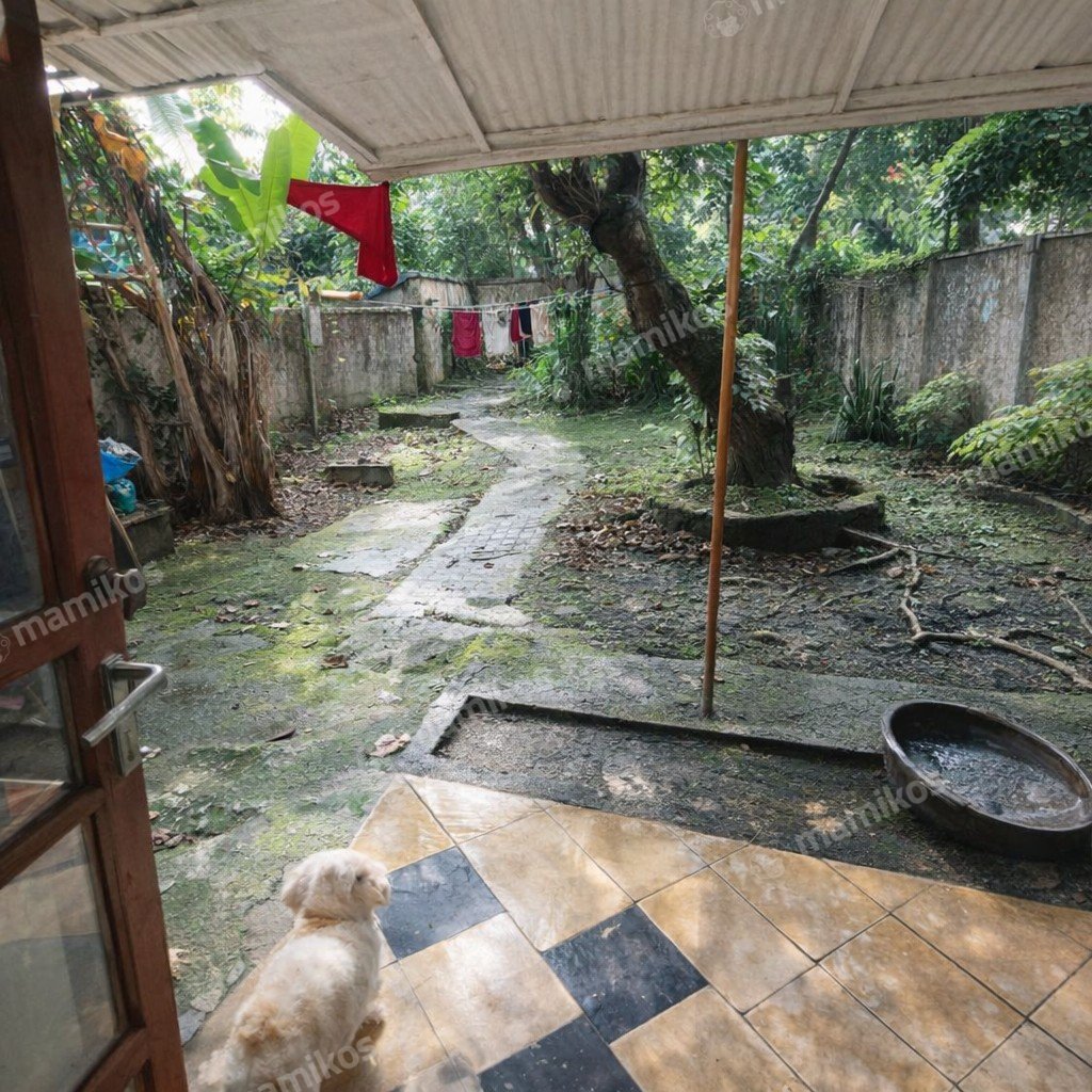 Rumah Sertifikat SHM 3 Kamar Tidur 3 Kamar Mandi Kembangan Jakarta Barat - Photo 5
