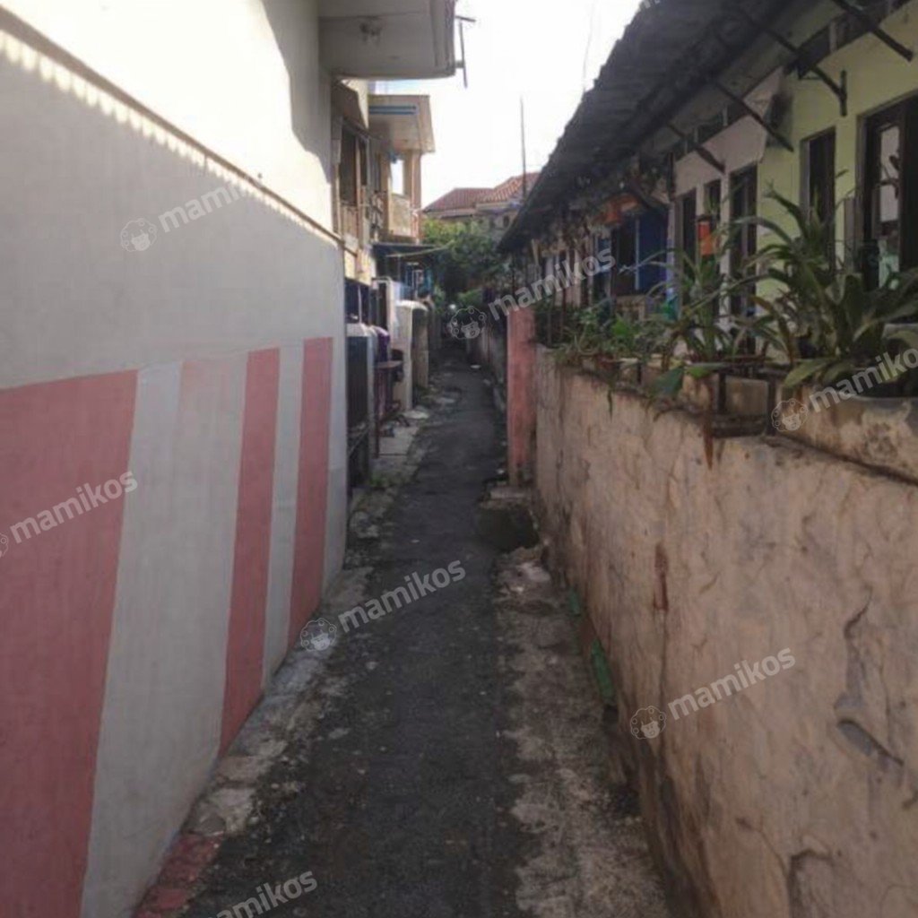 Rumah Sertifikat SHM 2 Kamar Tidur 1 Kamar Mandi Bintaro Jakarta Selatan - Photo 4