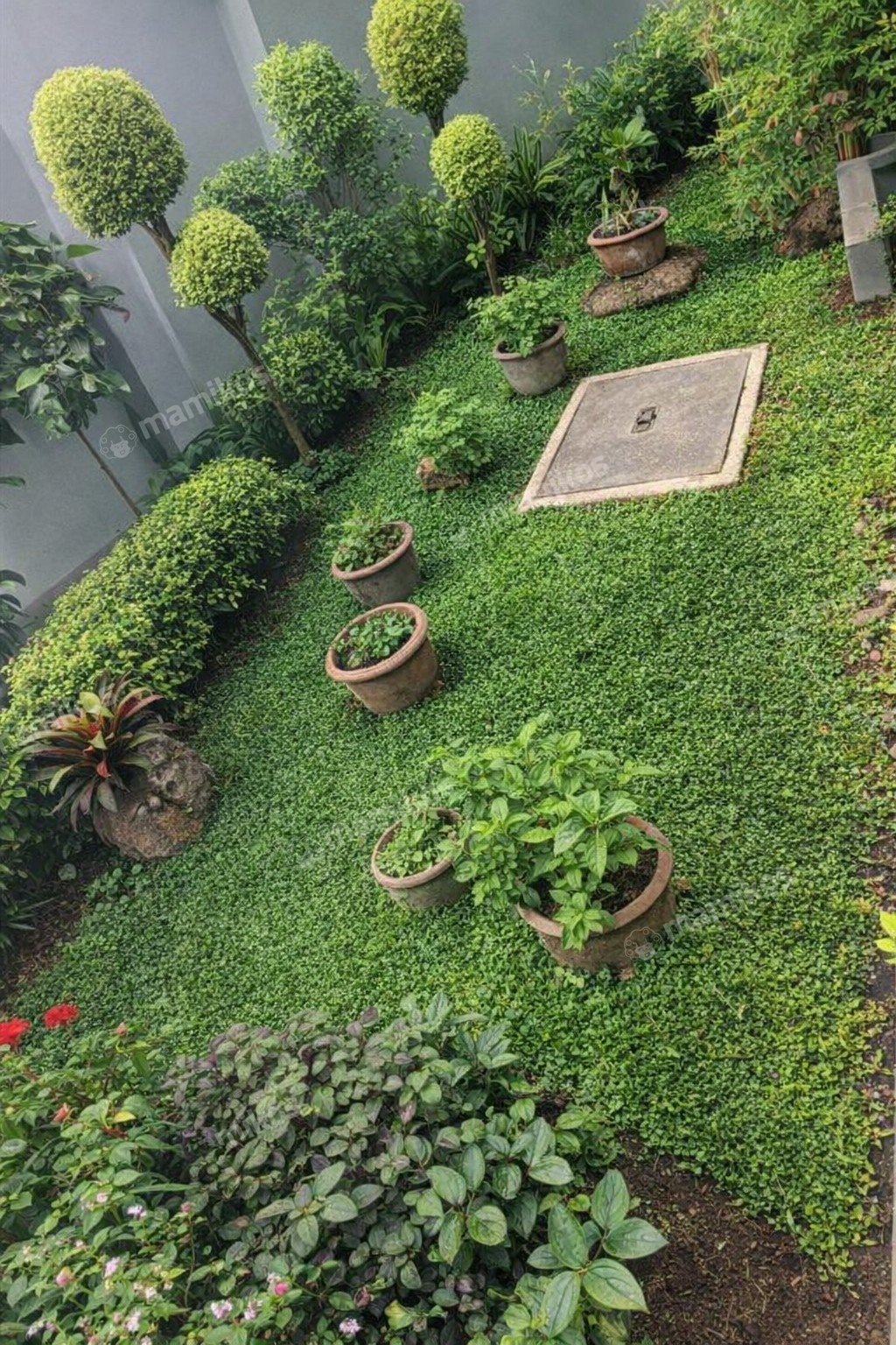 Rumah Sertifikat SHM 5 Kamar Tidur 5 Kamar Mandi Sunter Jakarta Utara - Photo 2