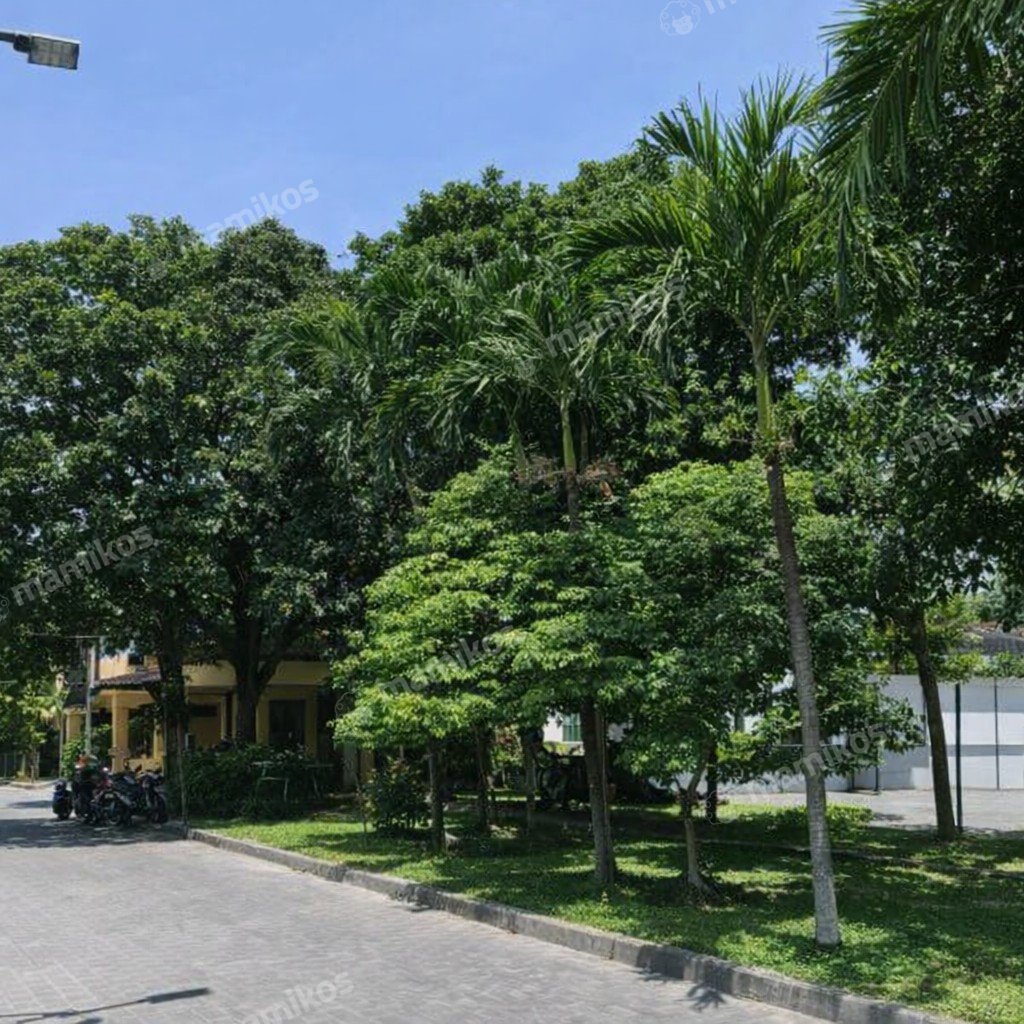 Rumah Sertifikat SHM 4 Kamar Tidur 4 Kamar Mandi Duri Kepa Jakarta Barat - Photo 4