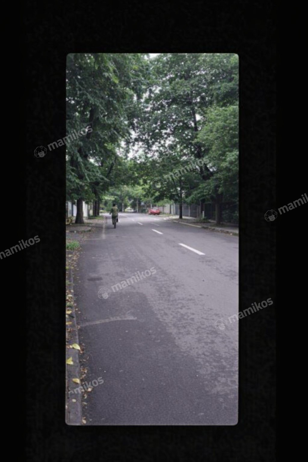 Rumah Sertifikat SHM 5 Kamar Tidur 8 Kamar Mandi Cawang Jakarta Timur - Photo 4