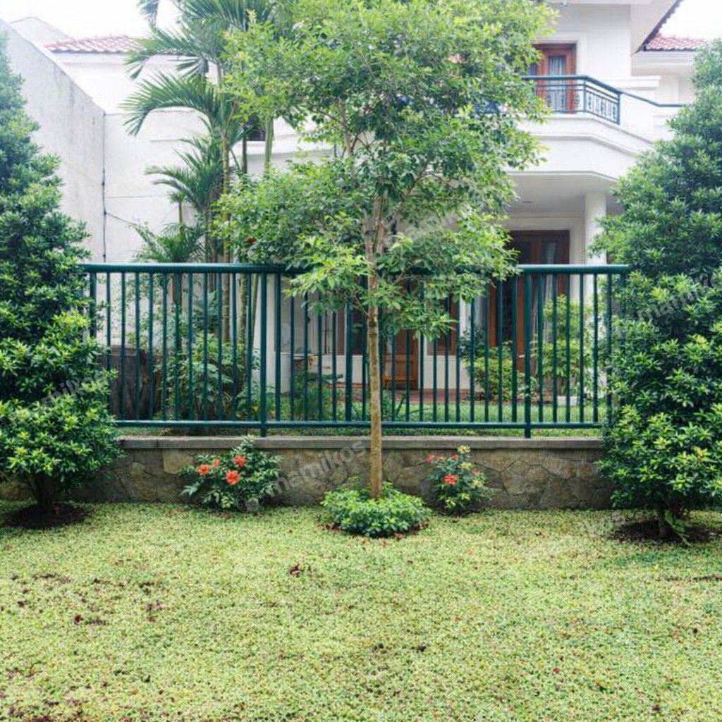 Rumah Sertifikat SHM 4 Kamar Tidur 3 Kamar Mandi Kemang Jakarta Selatan - Photo 3