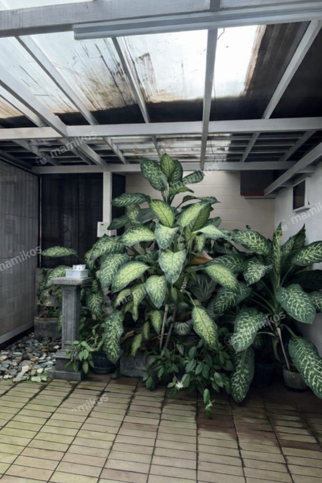 Rumah Sertifikat SHM 4 Kamar Tidur 4 Kamar Mandi Pantai Indah Kapuk Jakarta Utara - Photo 3