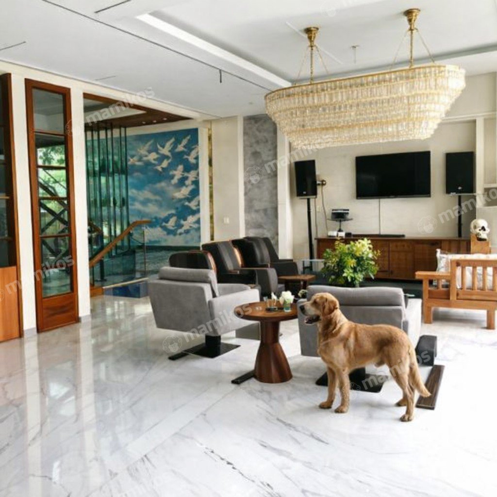 Rumah Sertifikat SHM 7 Kamar Tidur 9 Kamar Mandi Kebayoran Baru Jakarta Selatan - Photo 4