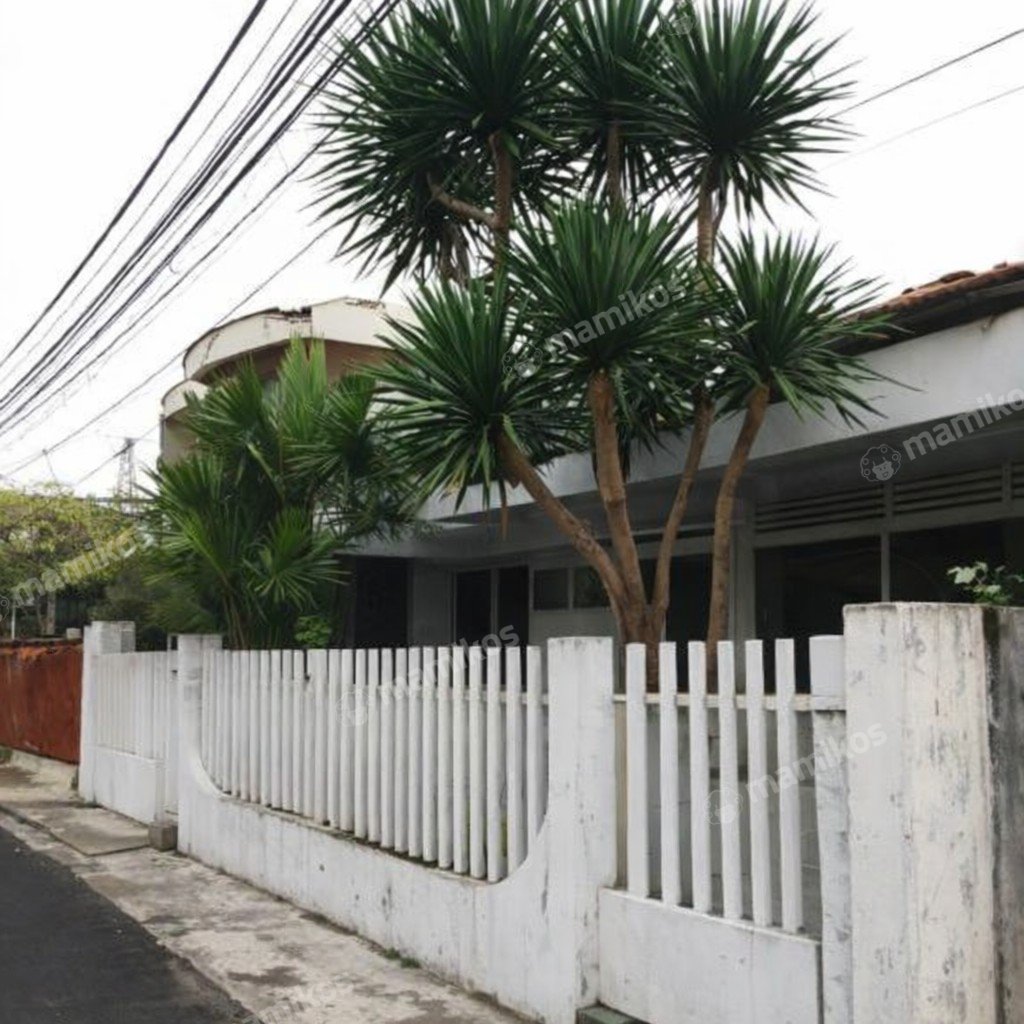 Rumah Sertifikat HGB 4 Kamar Tidur 1 Kamar Mandi Palmerah Jakarta Barat - Photo 2