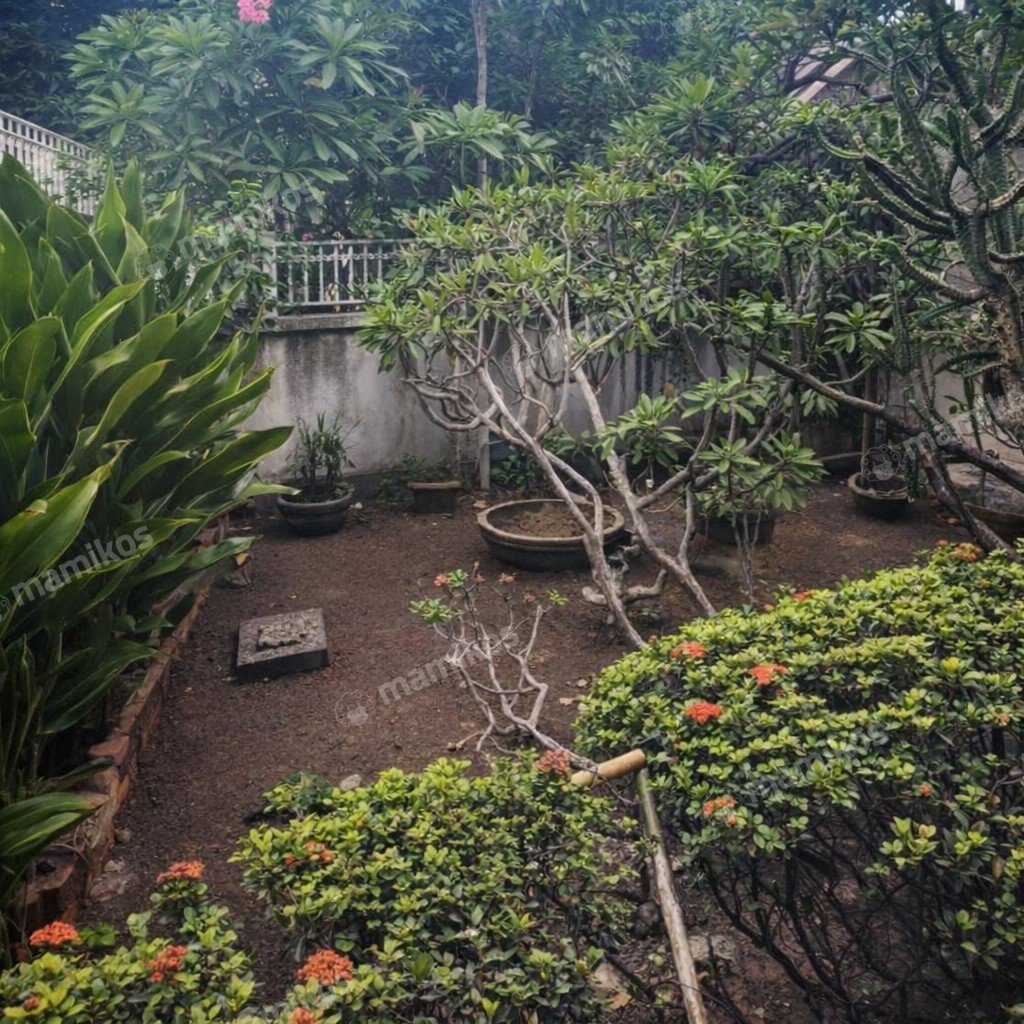 Rumah Sertifikat SHM 3 Kamar Tidur 3 Kamar Mandi Kayu Putih Jakarta Timur - Photo 3
