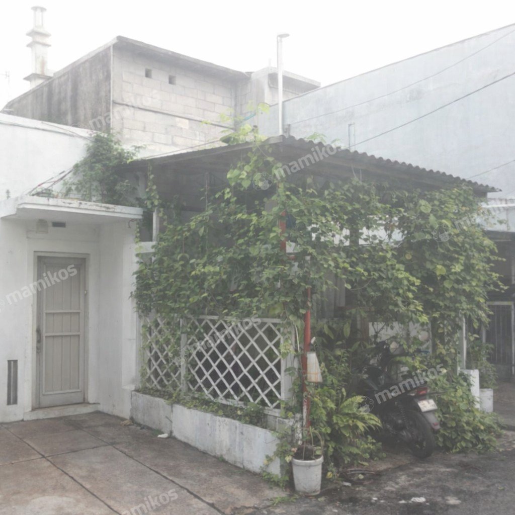 Rumah Sertifikat SHM 1 Kamar Tidur 1 Kamar Mandi Kramat Jati Jakarta Timur - Photo 3
