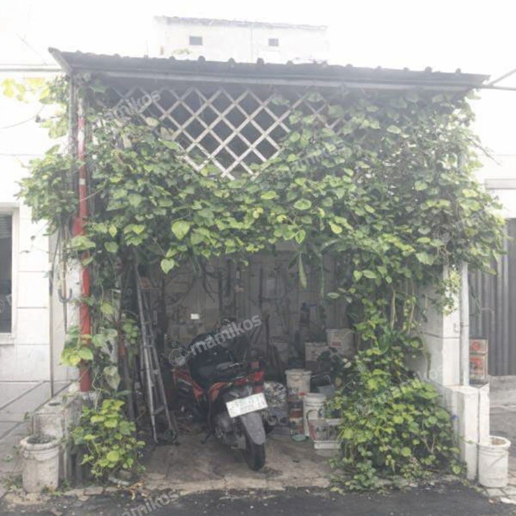Rumah Sertifikat SHM 1 Kamar Tidur 1 Kamar Mandi Kramat Jati Jakarta Timur - Photo 4