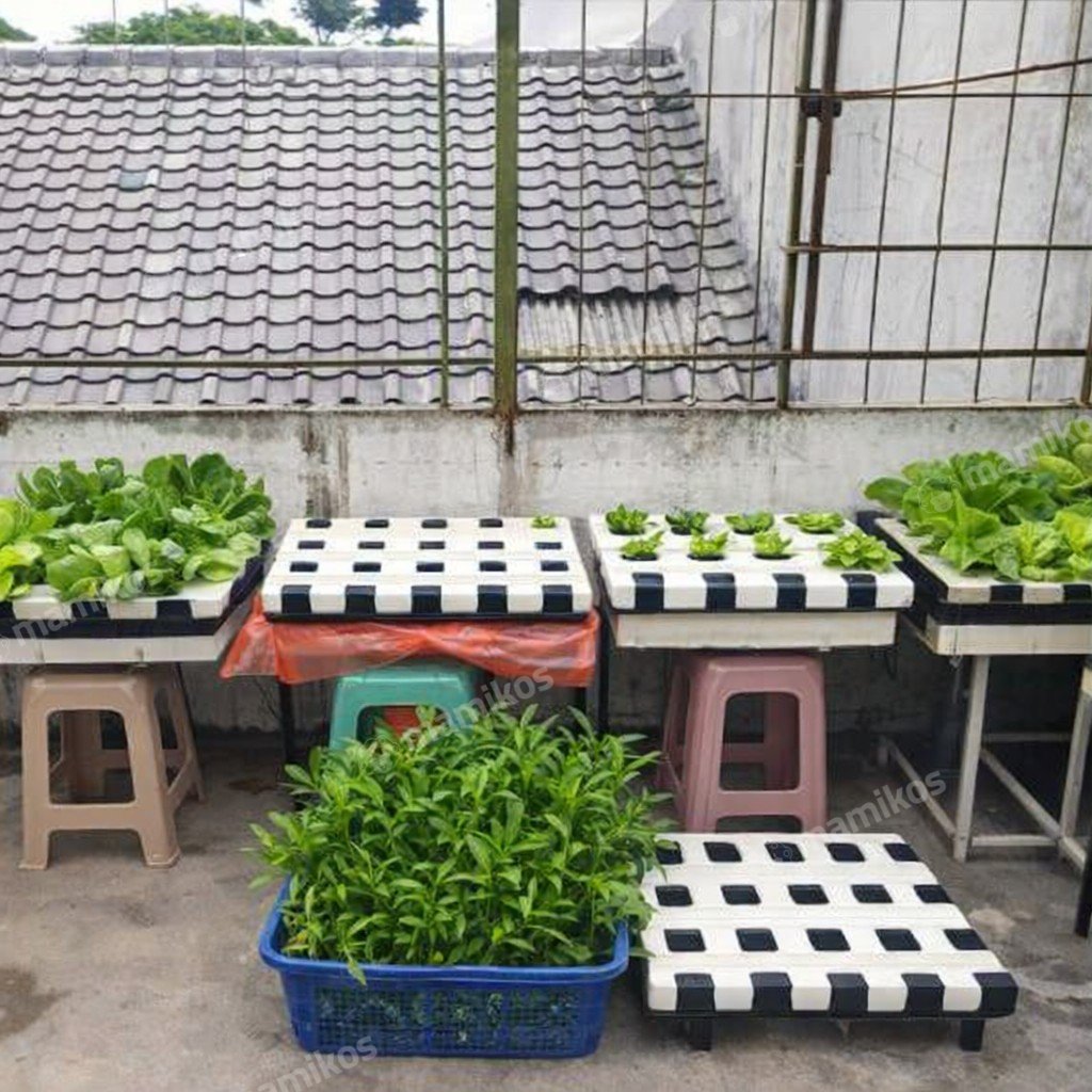 Rumah Sertifikat SHM 3 Kamar Tidur 2 Kamar Mandi Semanan Jakarta Barat - Photo 3