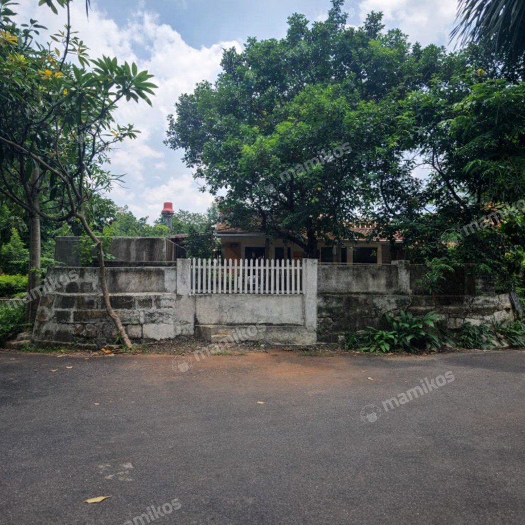Rumah Sertifikat SHM 2 Kamar Tidur 1 Kamar Mandi Cilandak Jakarta Selatan - Photo 2