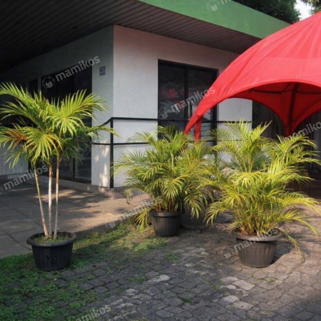 Rumah Sertifikat SHM 1 Lantai Joglo Jakarta Barat - Photo 3