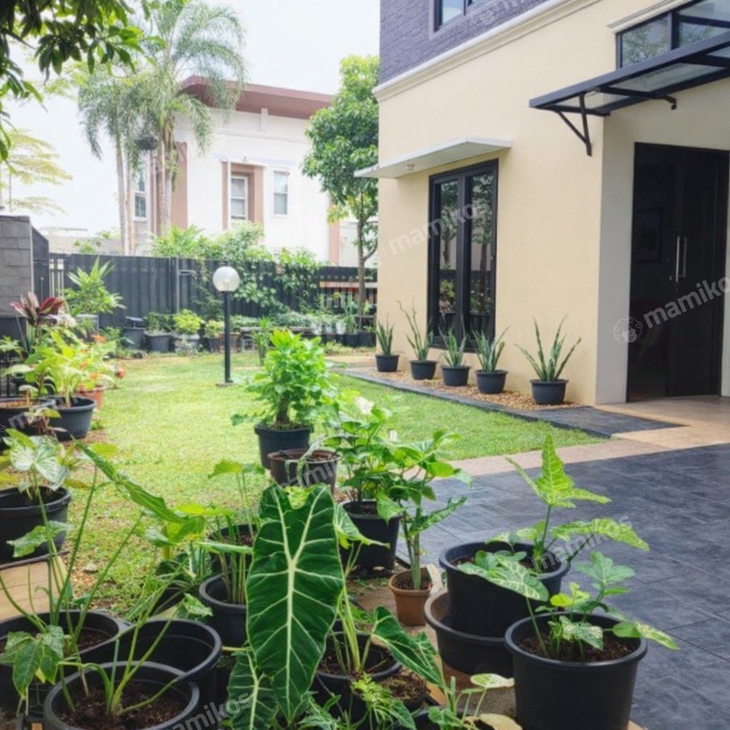 Rumah Sertifikat SHM 3 Kamar Tidur 3 Kamar Mandi Cibubur Jakarta Timur - Photo 3