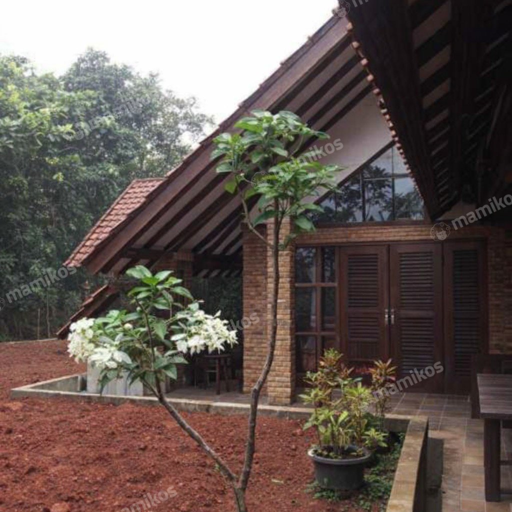 Rumah Sertifikat SHM 5 Kamar Tidur 5 Kamar Mandi Ciganjur Jakarta Selatan - Photo 2