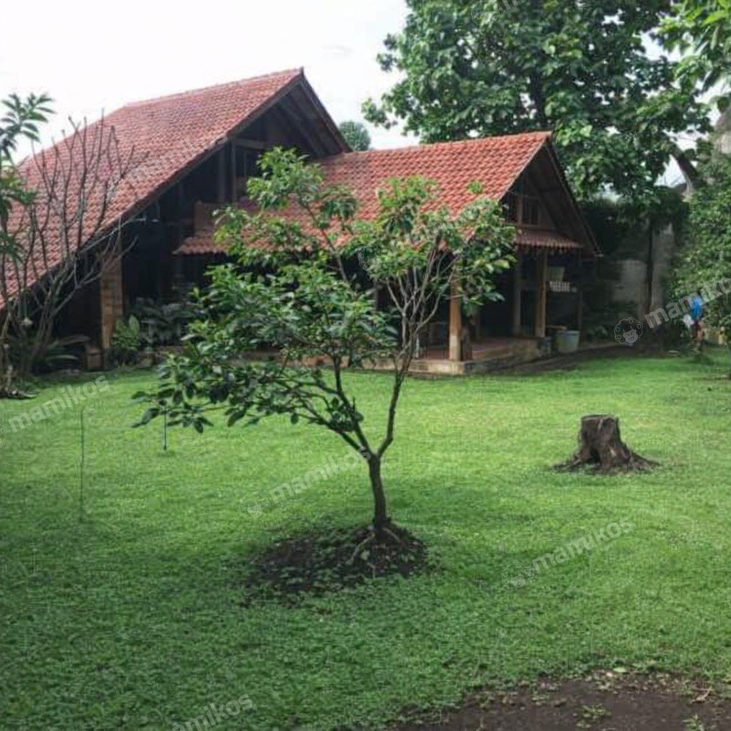 Rumah Sertifikat SHM 5 Kamar Tidur 5 Kamar Mandi Ciganjur Jakarta Selatan - Photo 4
