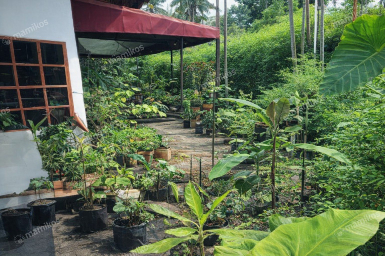 Rumah Sertifikat SHM 5 Kamar Tidur 3 Kamar Mandi Pulomas Jakarta Timur - Photo 5
