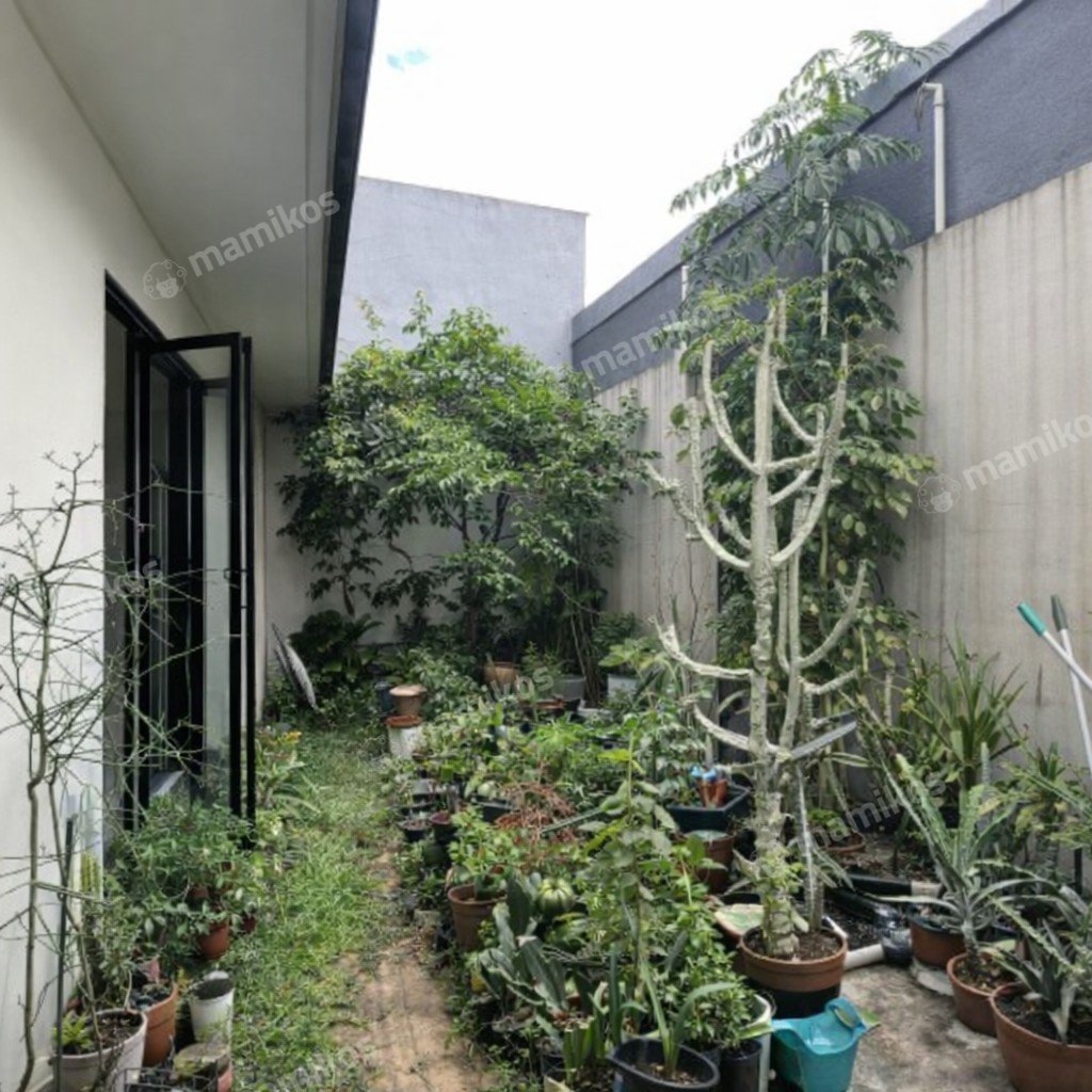Rumah Sertifikat SHM 3 Kamar Tidur 3 Kamar Mandi Cibubur Jakarta Timur - Photo 3
