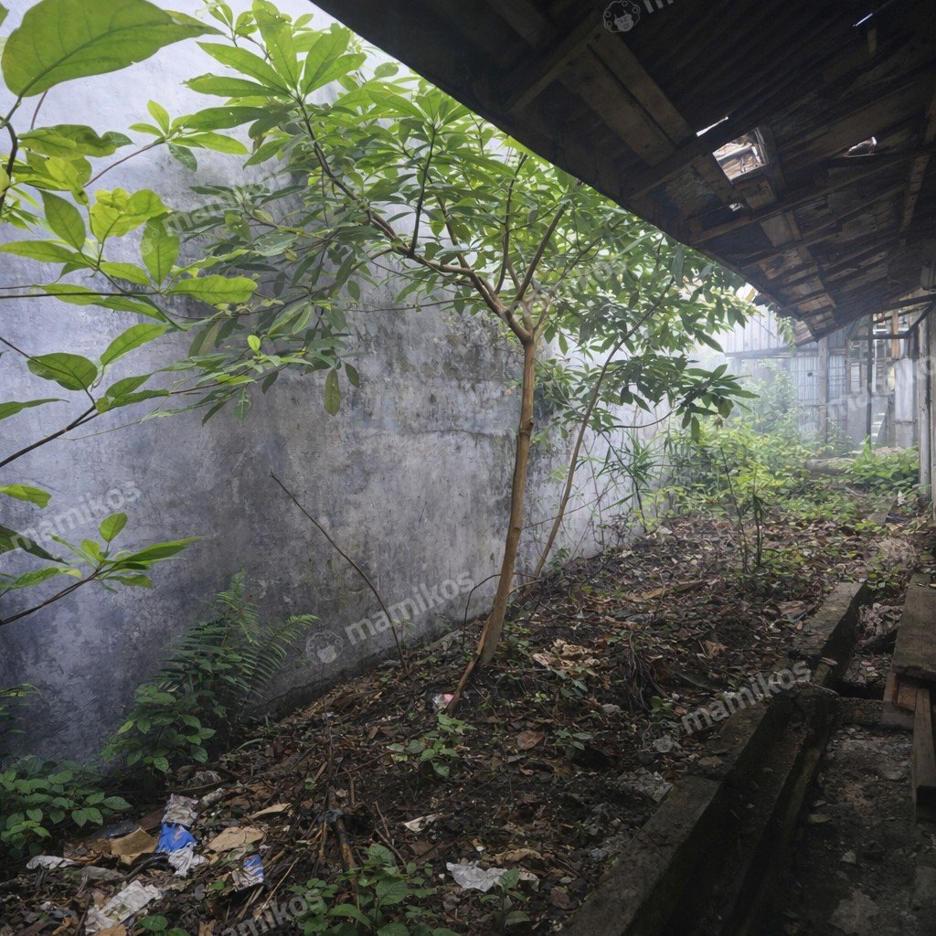 Rumah Sertifikat SHM 4 Kamar Tidur 2 Kamar Mandi Kebayoran Baru Jakarta Selatan - Photo 5