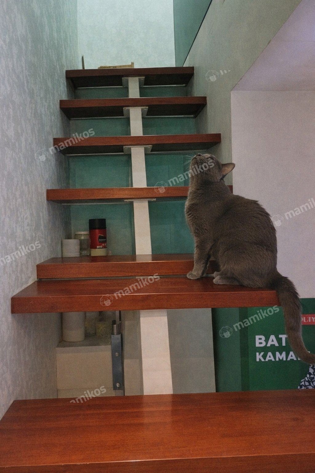 Rumah Sertifikat SHM 2 Kamar Tidur 2 Kamar Mandi Tanah Kusir Jakarta Selatan - Photo 5