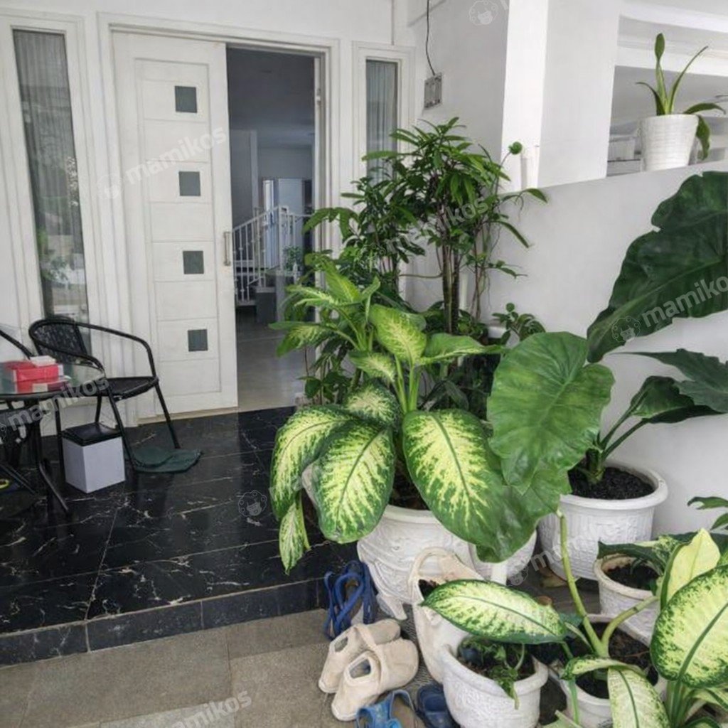 Rumah Sertifikat SHM 4 Kamar Tidur 3 Kamar Mandi Pondok Kelapa Jakarta Timur - Photo 2