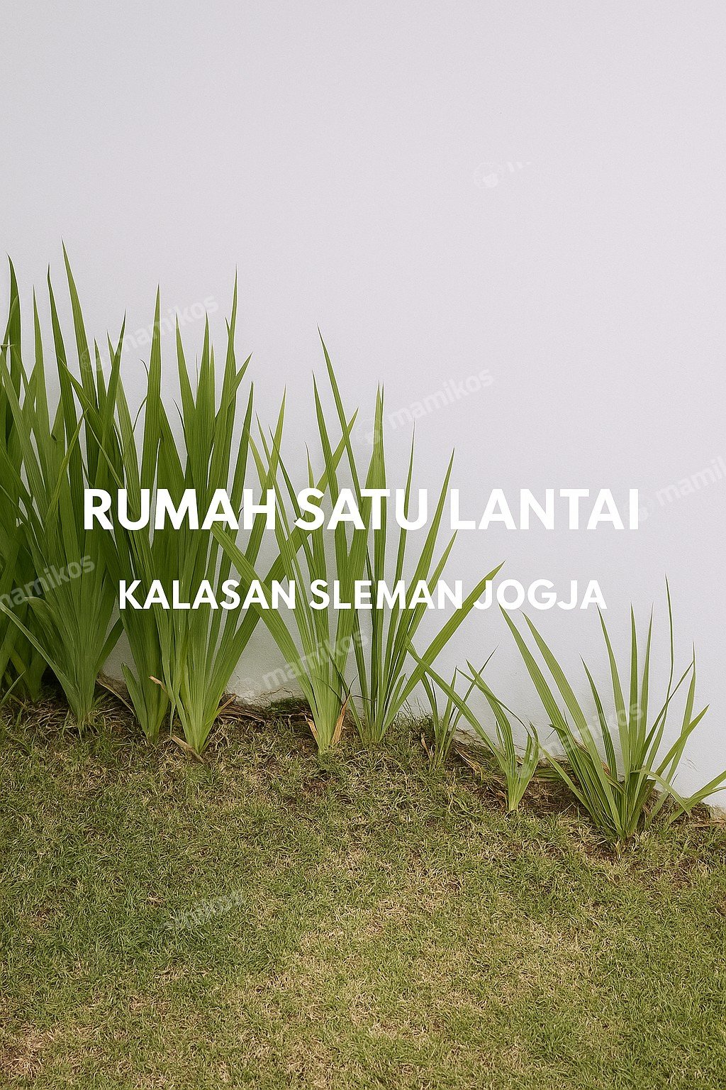 Rumah Sertifikat SHM 3 Kamar Tidur 2 Kamar Mandi Kalisari Jakarta Timur - Photo 2