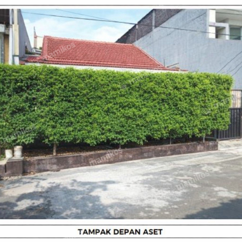 Rumah Sertifikat SHM 3 Kamar Tidur 1 Kamar Mandi Kedoya Selatan Jakarta Barat - Photo 4