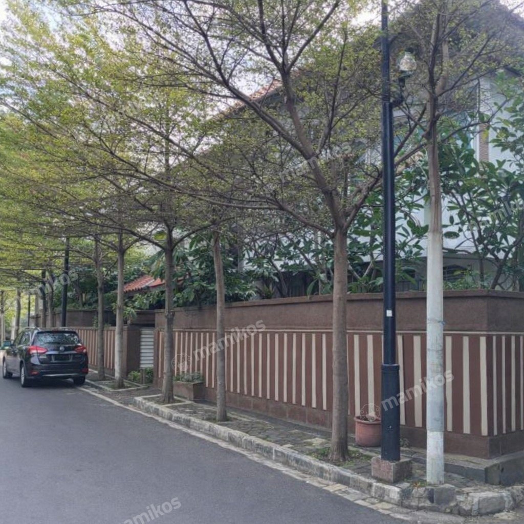 Rumah Sertifikat SHM 5 Kamar Tidur 4 Kamar Mandi Kayu Putih Jakarta Timur - Photo 2