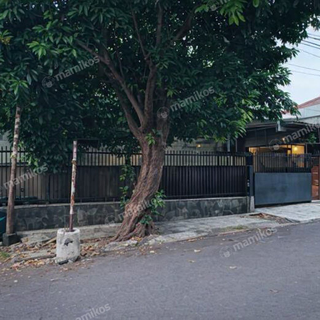 Rumah Sertifikat SHM 2 Kamar Tidur 1 Kamar Mandi Kayu Putih Jakarta Timur - Photo 2