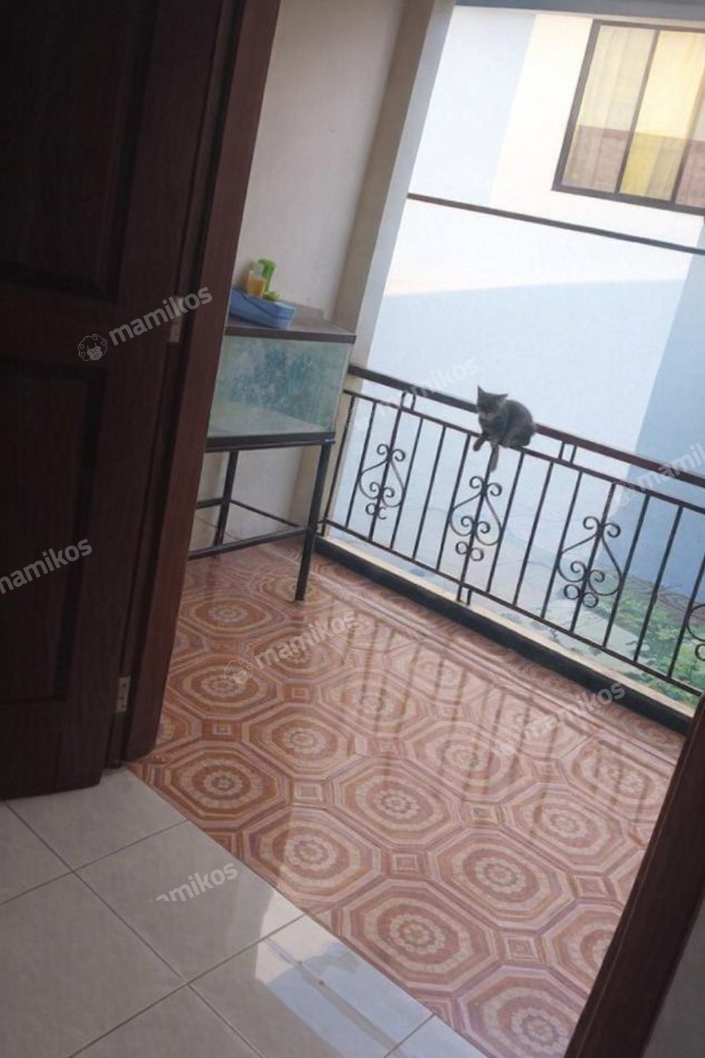 Rumah Sertifikat SHM 4 Kamar Tidur 2 Kamar Mandi Cengkareng Barat Jakarta Barat - Photo 5