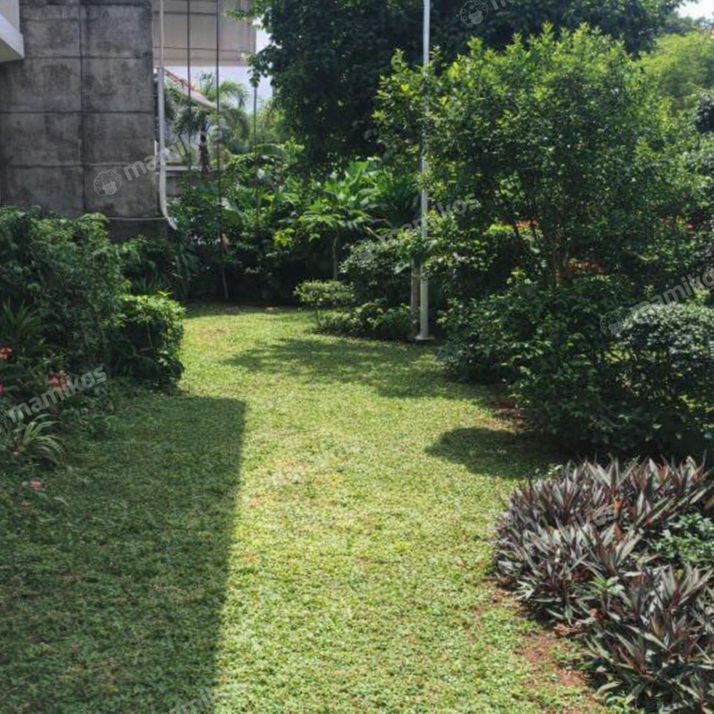Rumah Sertifikat SHM 5 Kamar Tidur 4 Kamar Mandi Kuningan Jakarta Selatan - Photo 5