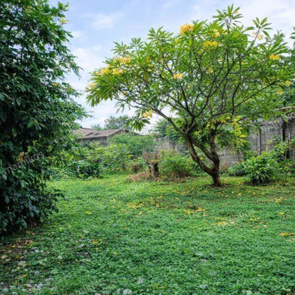 Rumah Sertifikat SHM 4 Kamar Tidur 3 Kamar Mandi Cipete Jakarta Selatan - Photo 3