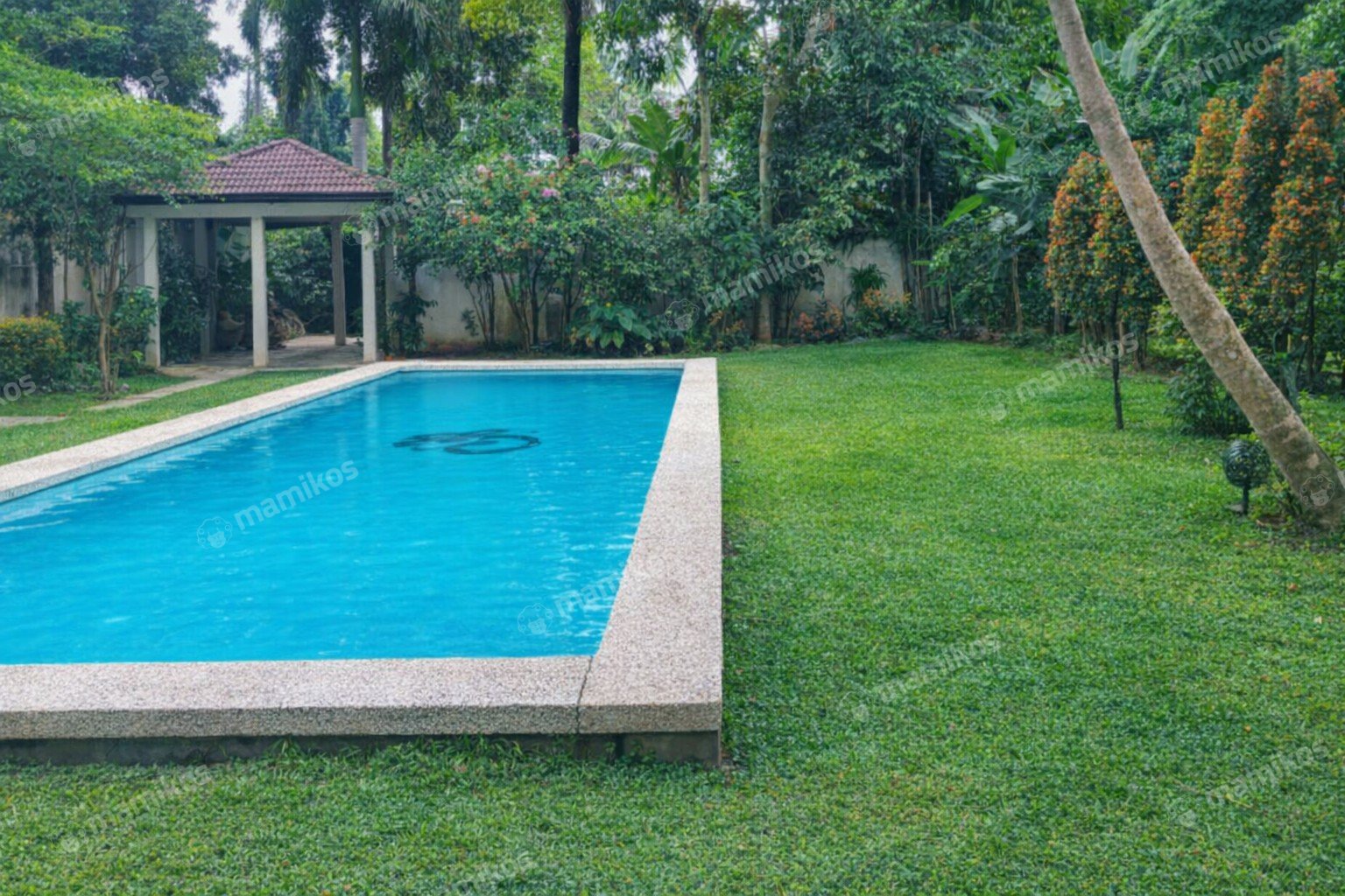 Rumah Sertifikat SHM 4 Kamar Tidur 3 Kamar Mandi Kemang Jakarta Selatan - Photo 4
