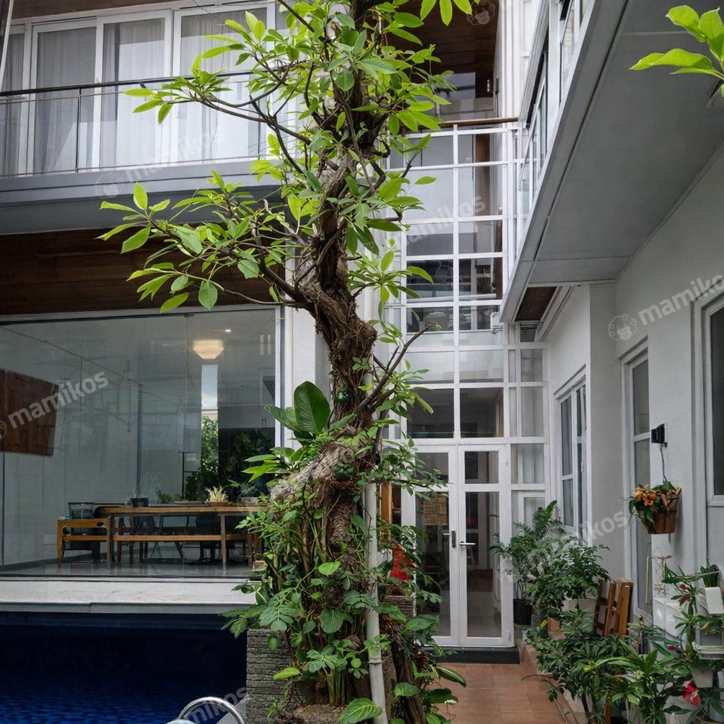 Rumah 4 Kamar Tidur 4 Kamar Mandi 3 Lantai Permata Buana Jakarta Barat - Photo 3