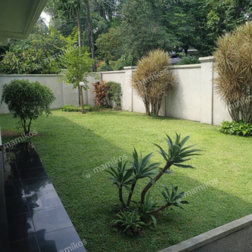 Rumah Sertifikat SHM 5 Kamar Tidur 4 Kamar Mandi Kayu Putih Jakarta Timur - Photo 2