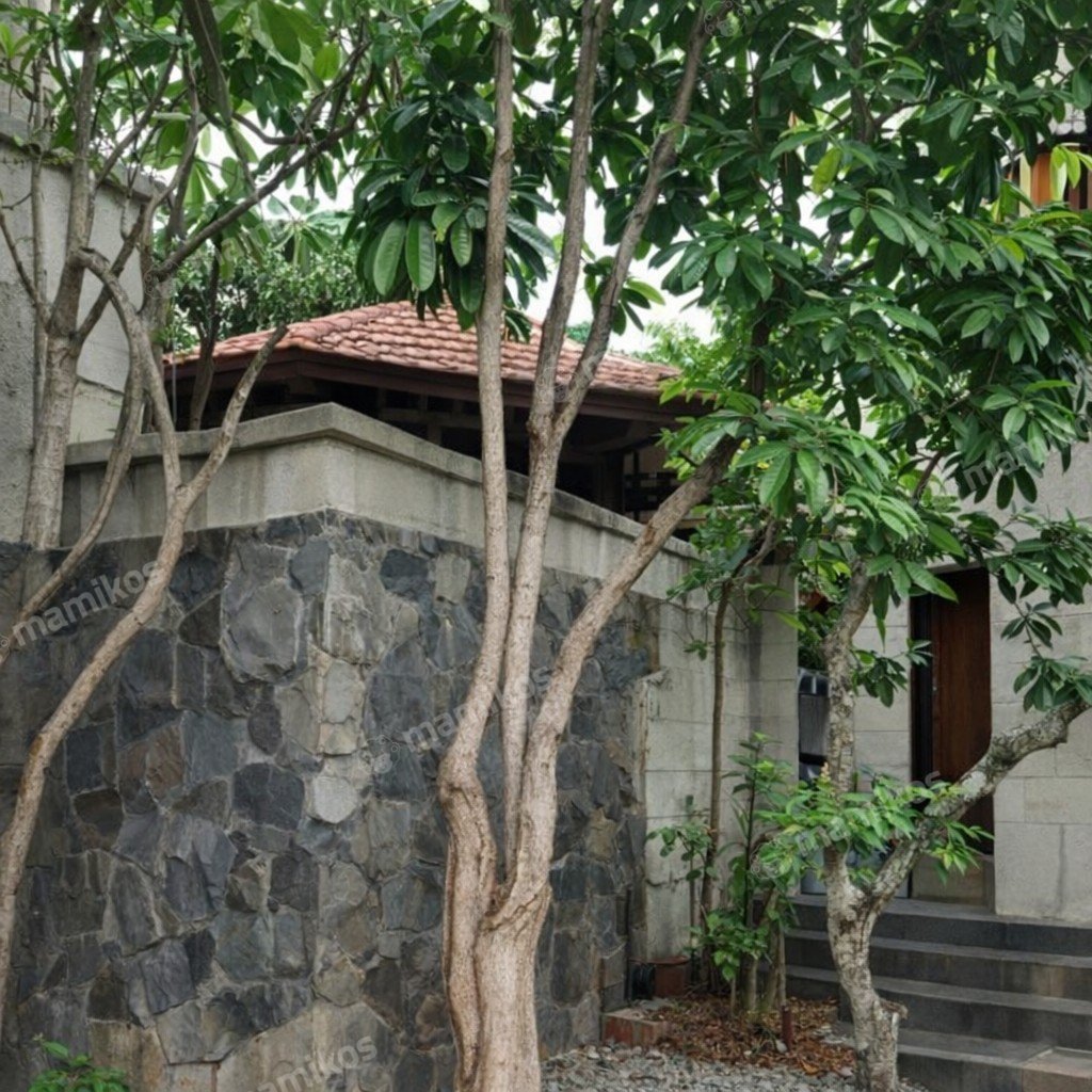 Rumah Sertifikat SHM 3 Kamar Tidur 3 Kamar Mandi Bintaro Jakarta Selatan - Photo 3