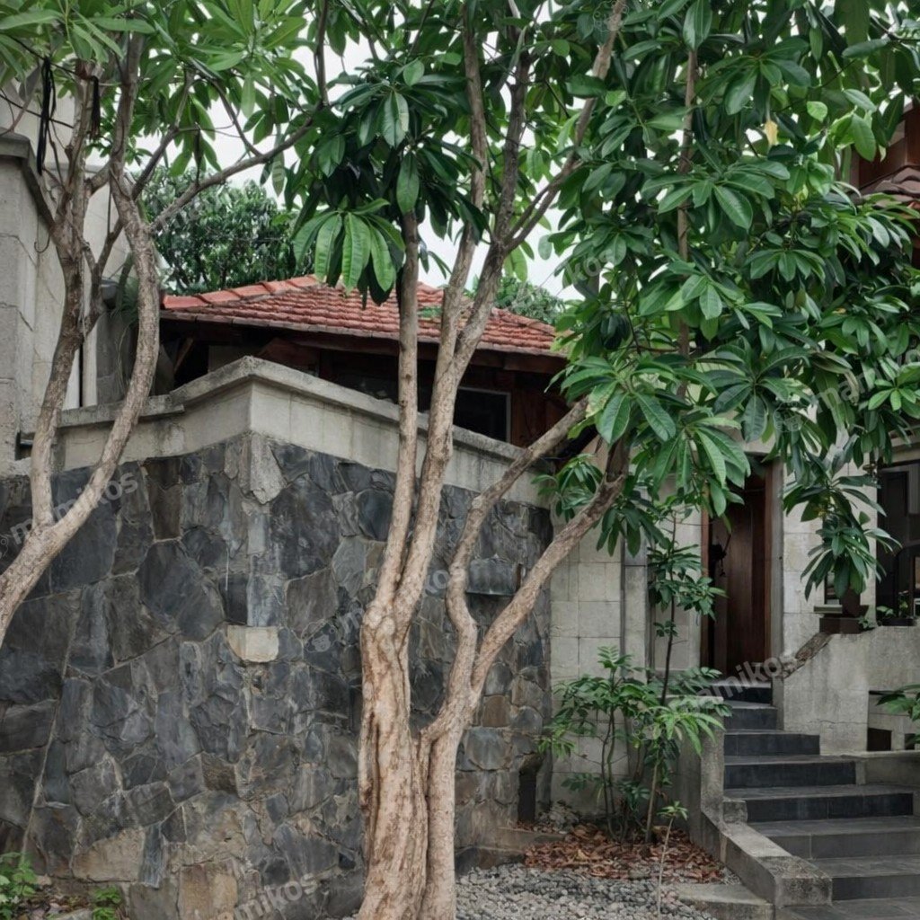 Rumah Sertifikat SHM 3 Kamar Tidur 3 Kamar Mandi Bintaro Jakarta Selatan - Photo 5