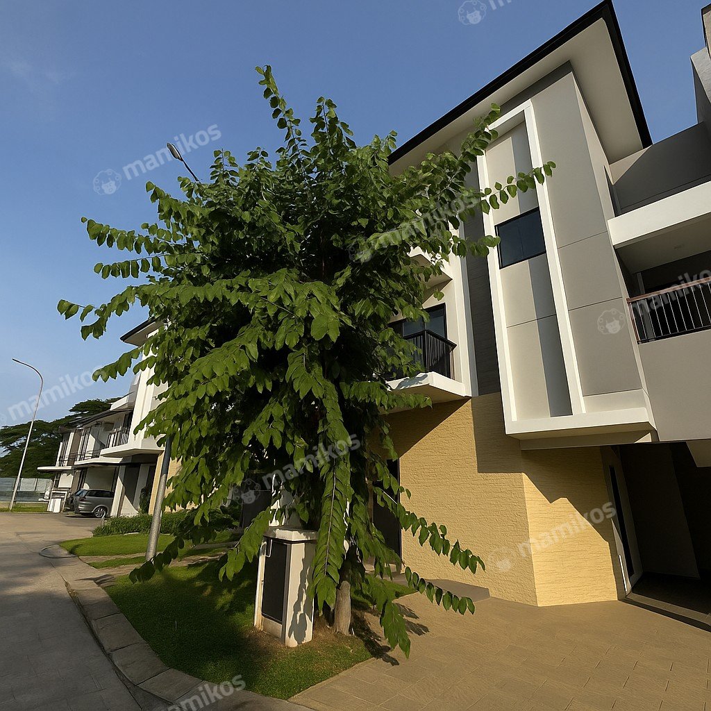 Rumah Sertifikat SHM 4 Kamar Tidur 4 Kamar Mandi Cakung Jakarta Timur - Photo 2