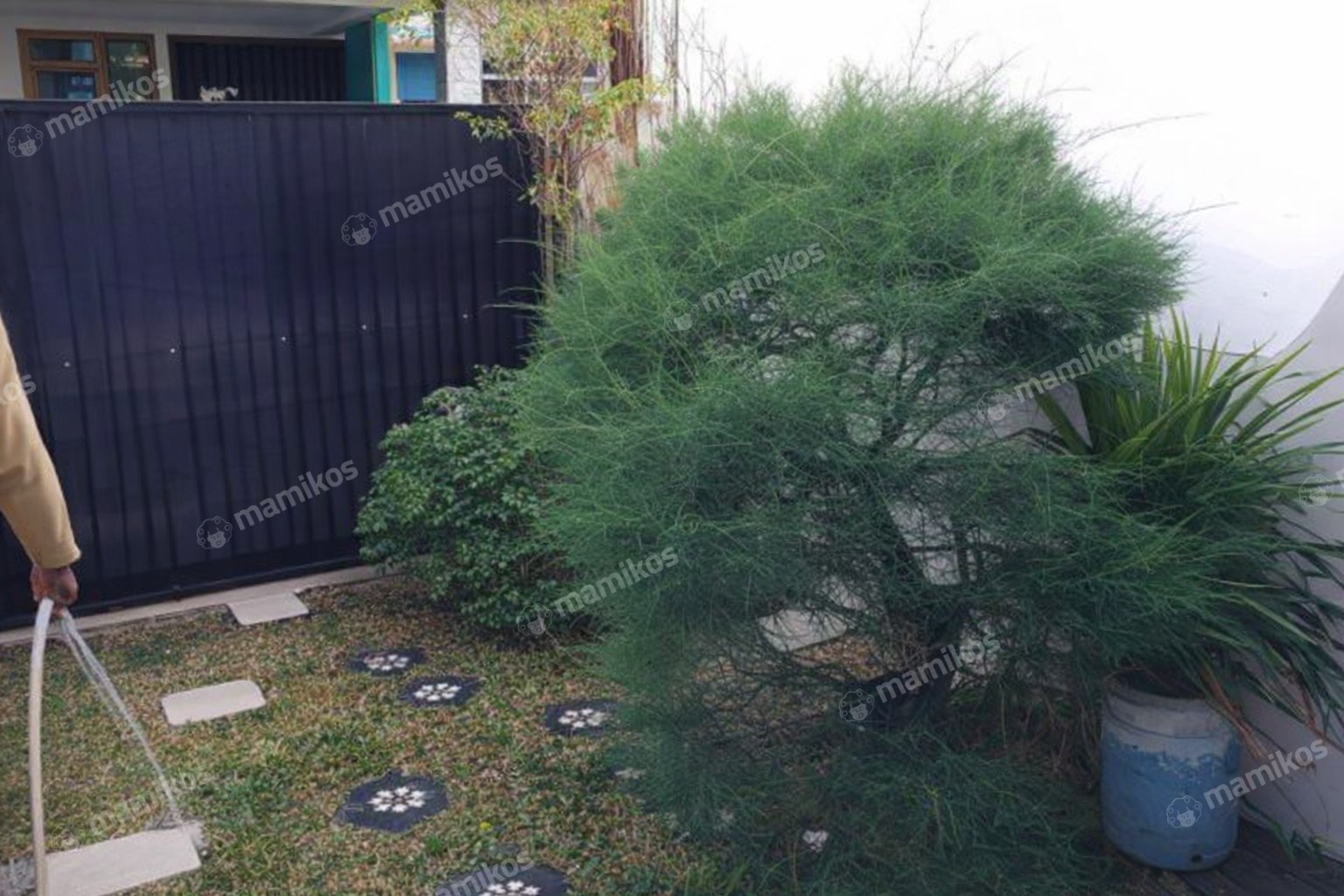 Rumah Sertifikat SHM 4 Kamar Tidur 2 Kamar Mandi Cakung Jakarta Timur