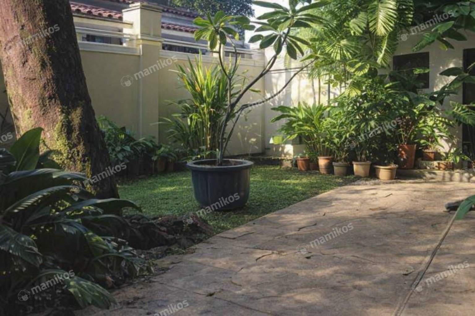 Rumah Sertifikat SHM 6 Kamar Tidur 5 Kamar Mandi Cipayung Jakarta Timur - Photo 4