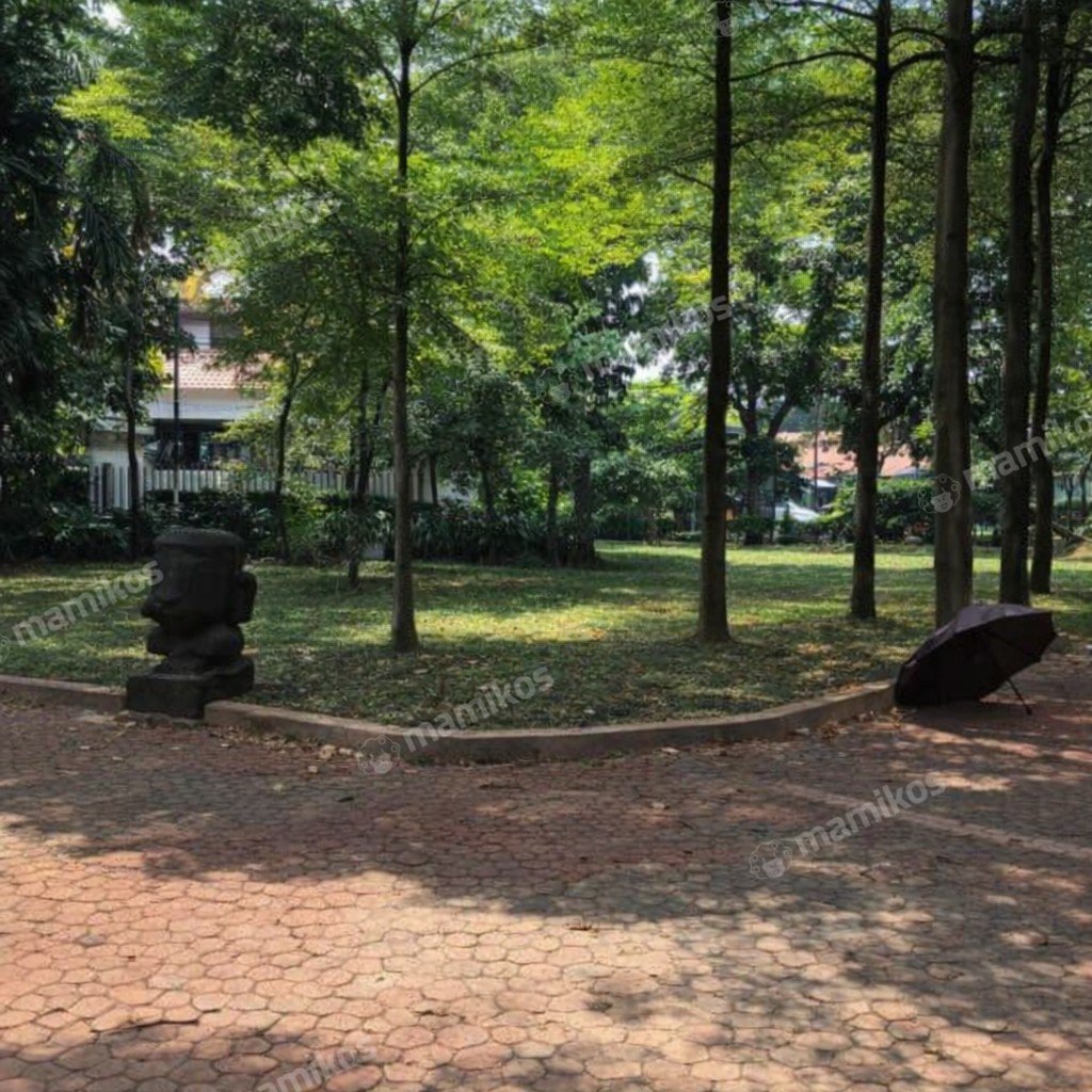 Rumah Sertifikat SHM 5 Kamar Tidur 4 Kamar Mandi Duren Tiga Jakarta Selatan - Photo 4