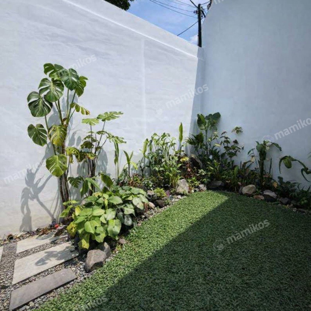 Rumah Sertifikat SHM 3 Kamar Tidur 3 Kamar Mandi Cilandak Jakarta Selatan - Photo 2