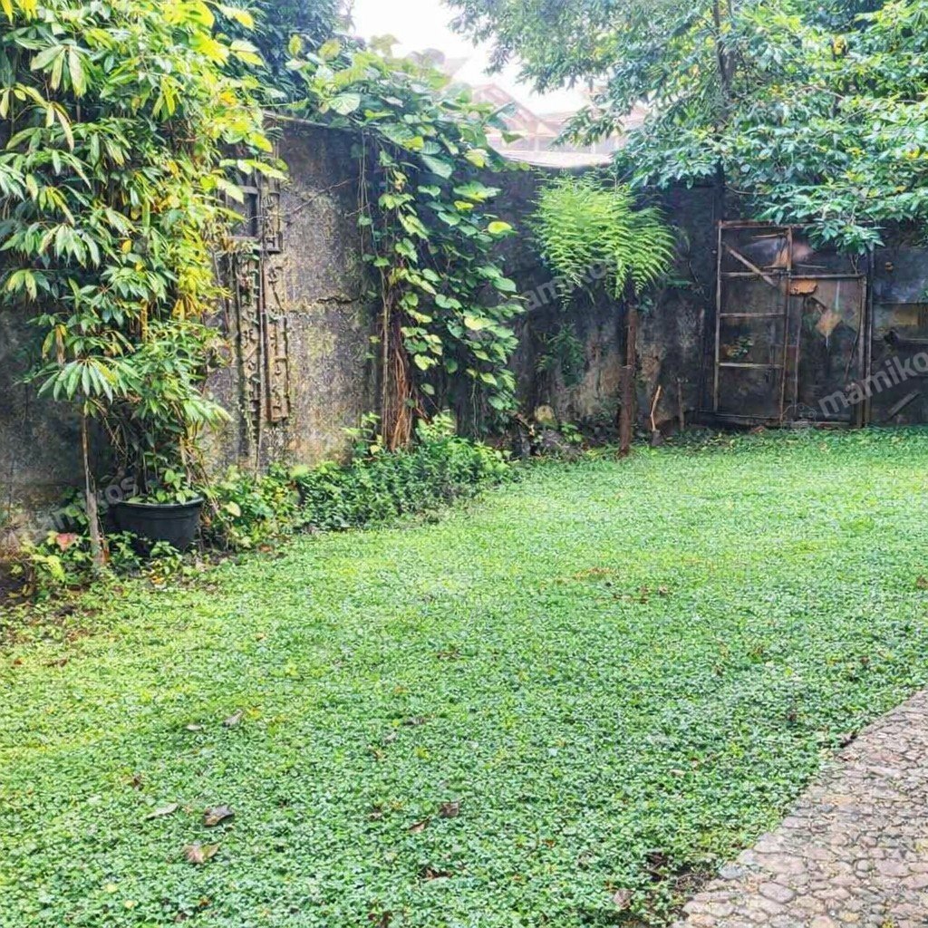 Rumah Sertifikat SHM 6 Kamar Tidur 3 Kamar Mandi Bintaro Jakarta Selatan - Photo 2