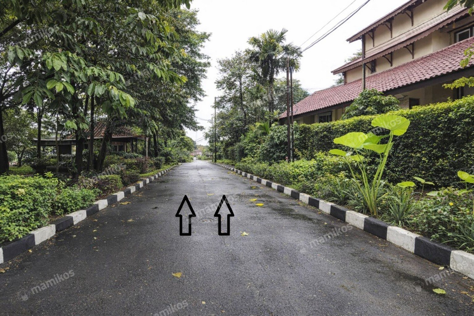Rumah 5 Kamar Tidur 4 Kamar Mandi Lebak Bulus Jakarta Selatan - Photo 2