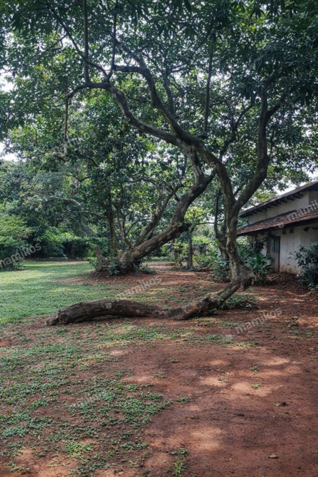 Rumah 6 Kamar Tidur 6 Kamar Mandi 2 Lantai Pondok Indah Jakarta Selatan - Photo 5