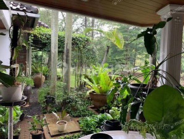 Rumah 4KT 3KM Cilandak Jakarta Selatan - Photo 3