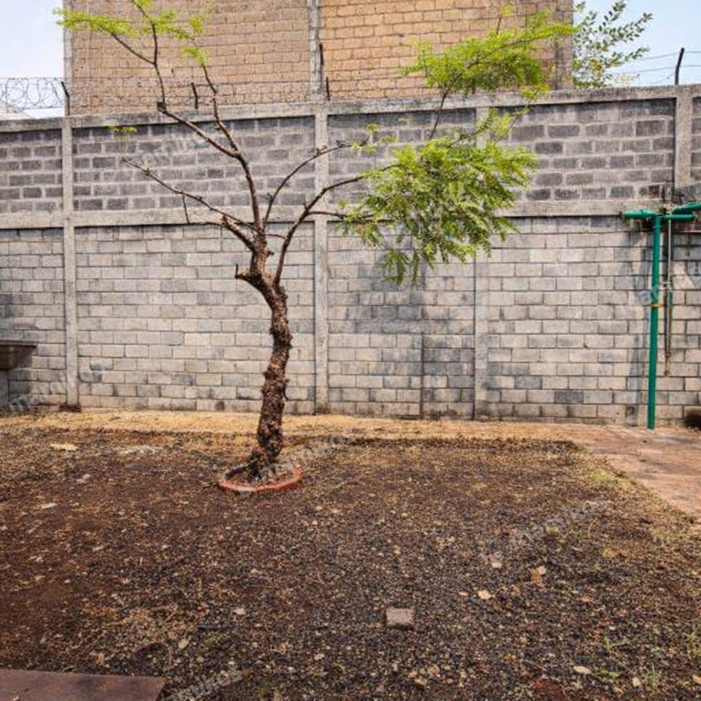 Rumah Sertifikat SHM 5 Kamar Tidur 5 Kamar Mandi Kebayoran Baru Jakarta Selatan - Photo 4