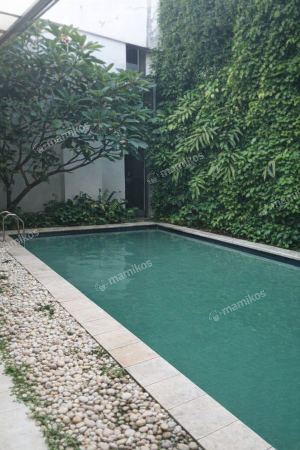 Rumah Sertifikat SHM 3 Kamar Tidur 2 Kamar Mandi Kebayoran Baru Jakarta Selatan - Photo 3