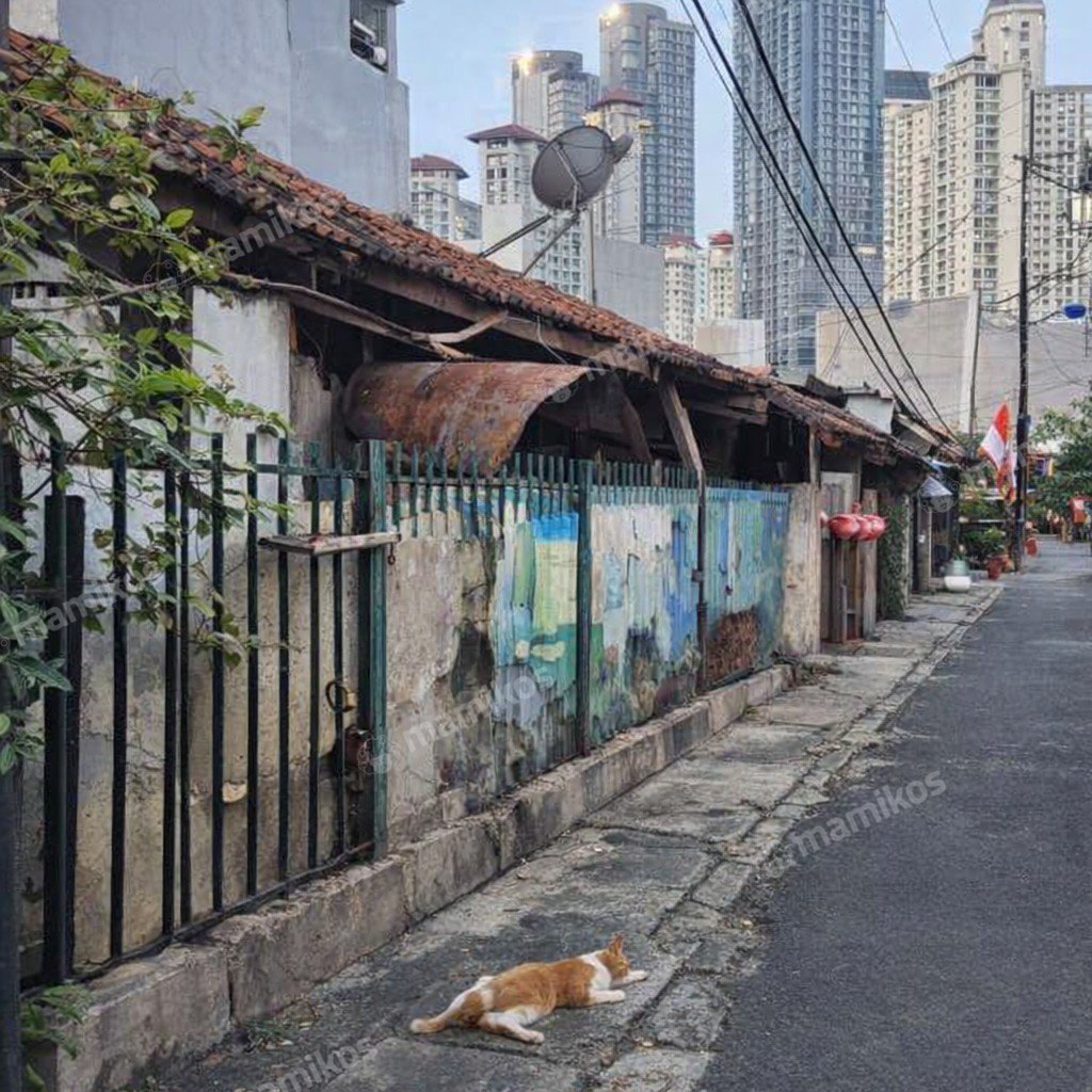 Rumah Sertifikat SHM 1 Lantai Tanjung Duren Jakarta Barat - Photo 3